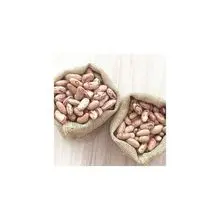 Premium grade sugar beans for wholesale 