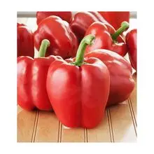 Precio de descuento Pimiento rojo al por mayor 