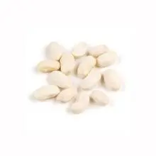 Premium white kidney beans in stock 