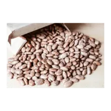 Cleaned and Graded Pinto Beans 