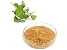 Extracto de Ginkgo biloba (que contiene un 24 % de glucósidos flavonoides): mejora la función cognitiva, ayuda a la memoria y la circulación sanguínea.