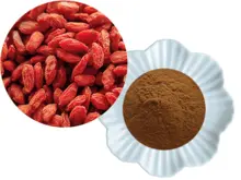 imagem dos produtos
