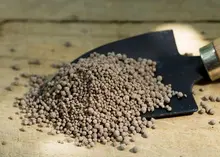 imagem dos produtos