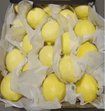 imagem dos produtos