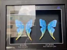Vidro antirreflexo