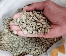 grãos de café 
