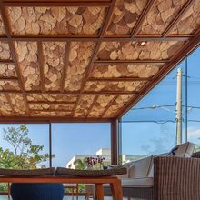 Teak Leaves Dried Pre-Treated