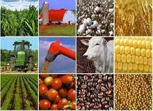 imagem dos produtos