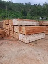 imagem dos produtos