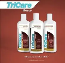 Kit Bay 500ml (Primer + Champú + Acondicionador)