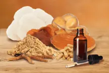 Functional Mushrooms