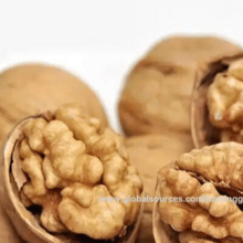 Fábrica de nozes de alta qualidade atacado nozes de casca superior nozes a granel matérias-primas nozes com casca