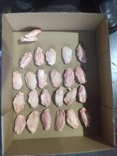 Frango Halal inteiro congelado de qualidade superior / Peito de peru / Carne Patas de aves Asas Pernas e asas