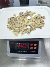 Canned mushroom/ canned champignon