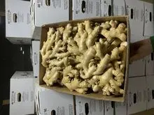 imagem dos produtos