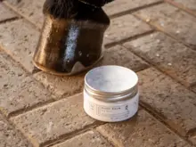 Hoof Balm