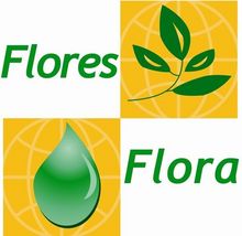 imagem dos produtos