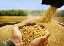 “Sugar ICUMSA 45, IC45, VHP 600/1200