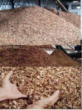 Cavaco de madeiras mistas - biomassa de pinus e eucalipto com baixo teor de umidade p geração de energia