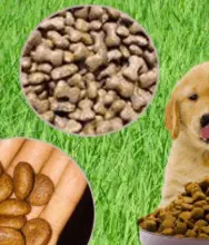 Pet food, including dry food, wet food, ham, canned food, vitamins, etc.