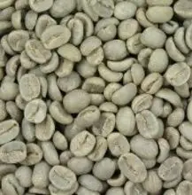 Grãos de café (Arábica e Robusta)