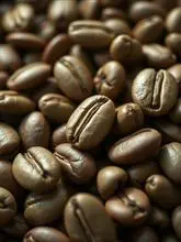 Green Coffee Beans