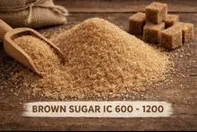 Raw Brown Sugar IC600-1200
