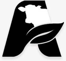 grãos, laticínios, combustíveis, carnes, óleos, farinhas, açúcar