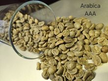 grãos de café verde Arábica 