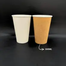 Copo Papel Descartável Biodegradável 300ml