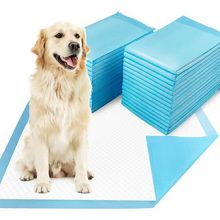 Pet pee pads, pet training pads, dog pee pads, dog training pads