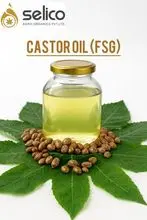  Castor oil (Various Grade) Refined Castor Oil /commercial castor oil /first grade Castor oil/BSS  Cold press castor oil /Pale pre