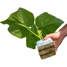 Hydroponic Rock Wool Planting Growing Media