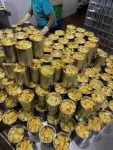 MAÇÃS DE CACAU EM CONSERVA