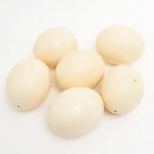 Ovos de avestruz