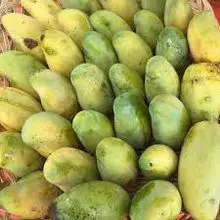 Mangoes