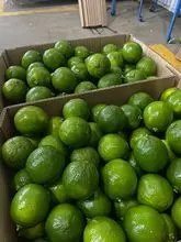 Tahiti lime