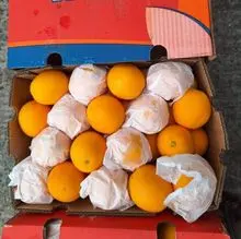 Laranjas Valência frescas 