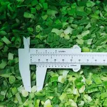 IQF Green Spring Onion 