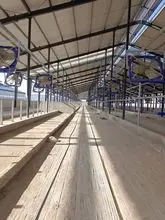 Ventiladores para ganado, ventiladores de extracción para refrigeración y ventilación de ranchos / ventiladores de techo para refrigeración y ventilación