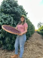 Café Arábica Certificado – 80+ Pontos SCA