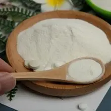 Sulfato de condroitina 90%