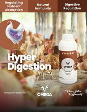 Hyper Digestion