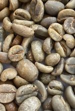 阿拉比卡四季豆