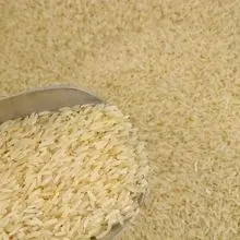 Arroz Basmati Branco Premium de Grão Longo e Não Cola - Fornecedor para Exportação Mundial