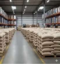 grãos de café arábica