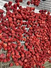 埃及 IQF 冷冻草莓