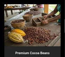 imagem dos produtos