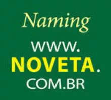 Naming For The Brazilian And S.a. Markets