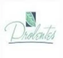 Prolentes Distribuidora Ltda